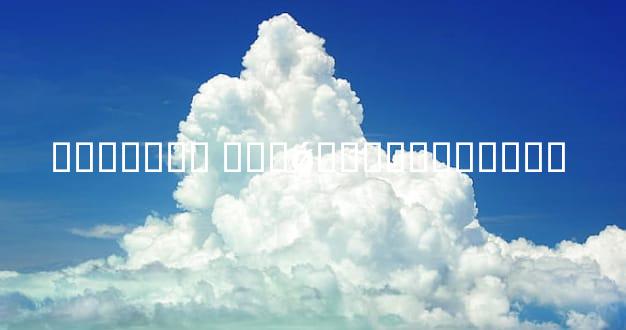 �ٻ���ھ� ���ǿ���̸����ת�� 